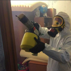 Уничтожение клопов в квартире. Калач